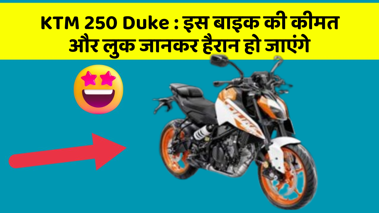 KTM 250 Duke: इस बाइक की कीमत और लुक जानकर हैरान हो जाएंगे